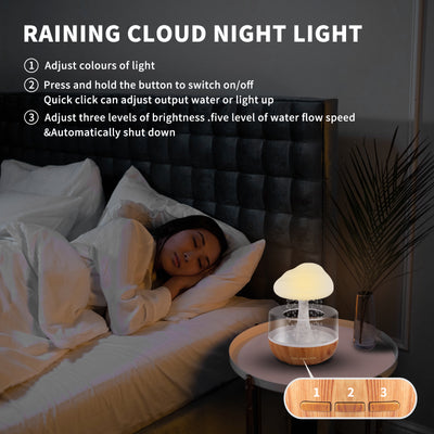 Weljoy Zen Rain Cloud Night Light Aromatherapy Essential Oil Diffuser Micro Humidifier Desk Fountain Bedside Sleeping Relaxation Mood Water Drop Sound White